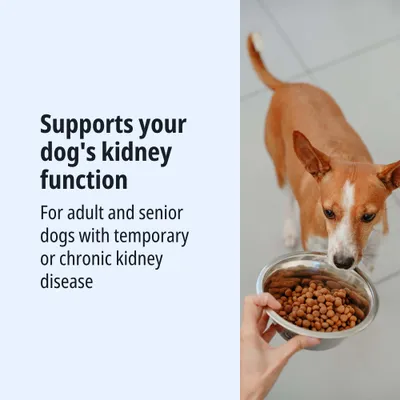 Supports your dog's kidney function. For adult and senior dogs with temporary or chronic kidney disease.