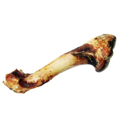 Osso essiccato con sfumature marroni e bianche, adatto come snack da masticare.