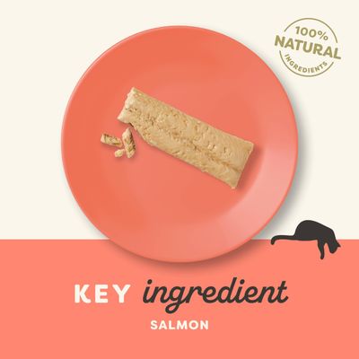 Text: 100% NATURAL INGREDIENTS, KEY ingredient SALMON. Laxbit på tallrik, siluett av katt synlig. Texten är på engelska.