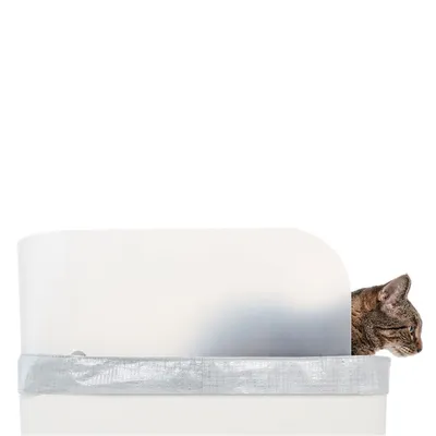 Kattenbak met zichtbescherming en zilveren rand, kat kijkt er zijwaarts uit.