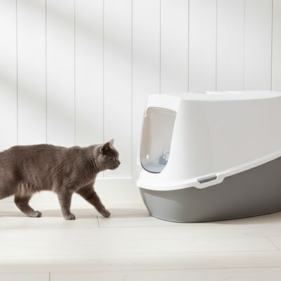 Savic Bac à litière pour chat Robin Jumbo