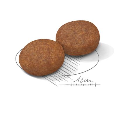 Две кръгли гранули суха храна с приблизителен диаметър 1 см, показани върху скица с мащаб за размер.