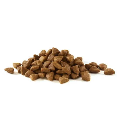 Pile of brown, triangular dry pet food pieces on a white background. No visible branding or packaging.