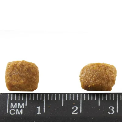 Two brown kibble pieces shown above a black ruler with millimetre and centimetre markings, each piece about 1.5 cm wide