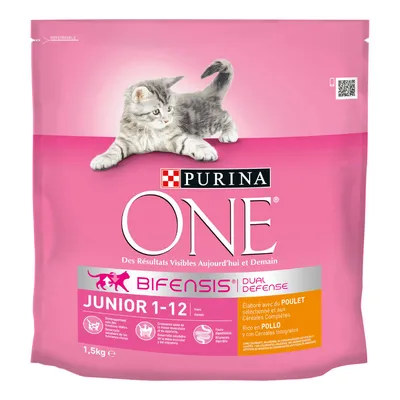 PURINA ONE Junior med kyckling - Ekonomipack: 4 x 1,5 kg