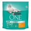 PURINA ONE 11+ Senior Pollo Crocchette per gatto 1,5 kg