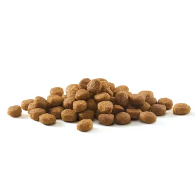 Round brown dry pet food kibble pieces in a pile on a white background