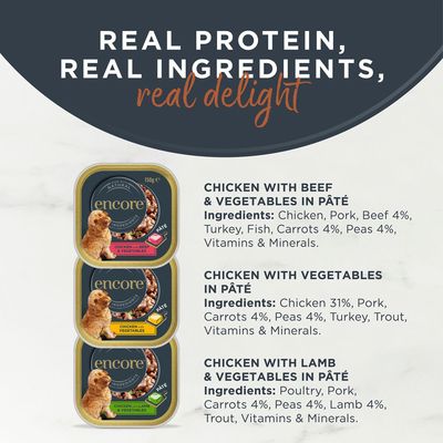 Encore Dog Pâté Multipack Fresh Selection - dog wet food - Saver Pack: 20 x 150g