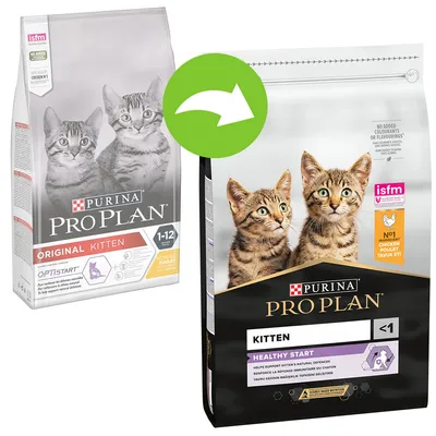 Pungi de hrană pentru pisici Purina Pro Plan Kitten, vechiul ambalaj „Original Kitten 1–12” și noul ambalaj „Kitten Healthy Start <1”, ambele cu imaginea a două pisici tigrate. Pungi de hrană pentru pisici Purina Pro Plan Kitten, vechiul ambalaj „Original Kitten 1–12” și noul ambalaj „Kitten Healthy Start <1”, ambele cu imaginea a două pisici tigrate.
