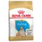 Royal Canin Bulldog Puppy 12 kg