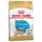 Royal Canin Chihuahua Puppy Crocchette per cane 1,5 kg