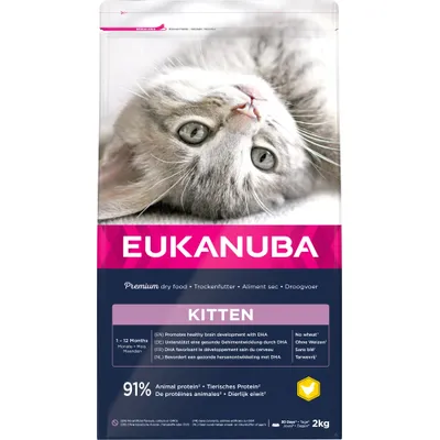 EUKANUBA Kitten droogvoer, 2 kg. Bevordert een gezonde hersenontwikkeling met DHA, 91% dierlijk eiwit, zonder tarwe. Voor kittens van 1–12 maanden. Premium dry food.