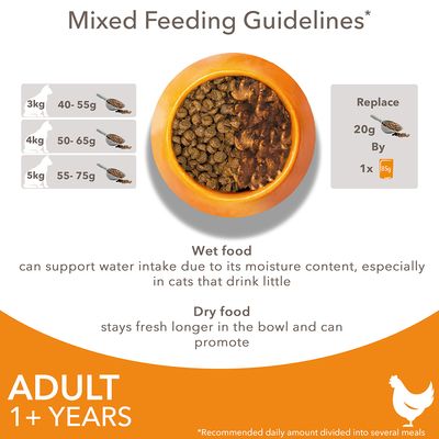 Mixed feeding guidelines for adult pets over 1 year: 3kg 40-55g, 4kg 50-65g, 5kg 55-75g. Replace 20g dry food with one 85g wet food pouch. Wet food supports water intake.