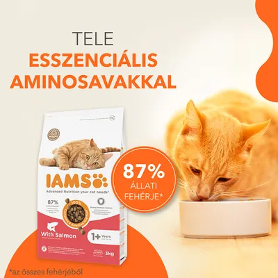 IAMS macskaeledel csomag, narancssárga cica, szöveg: Tele esszenciális aminosavakkal, 87% állati fehérje, With Salmon, 1+ Years, 3 kg