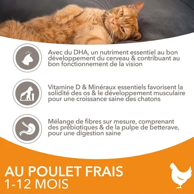 Texte : Au poulet frais 1–12 mois. Avec du DHA, vitamine D et minéraux, mélange de fibres avec prébiotiques et pulpe de betterave pour chatons. Chat roux allongé visible en haut.