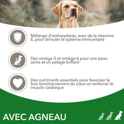 Mélange d'antioxydants avec vitamine E, oméga-3 et oméga-6 pour peau et pelage, nutriments essentiels pour le cœur. Texte : AVEC AGNEAU.
