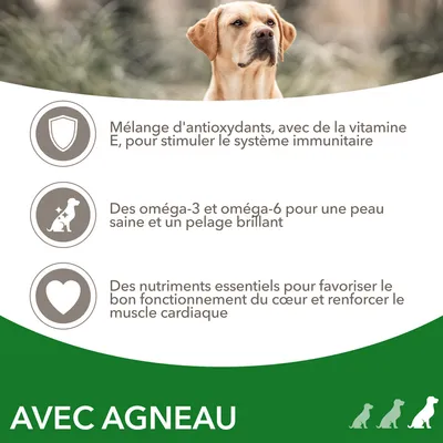 Mélange d'antioxydants avec vitamine E, oméga-3 et oméga-6 pour peau et pelage, nutriments essentiels pour le cœur. Texte : AVEC AGNEAU.