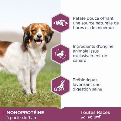 Patate douce source de fibres et minéraux, ingrédients d’origine animale issus exclusivement de canard, prébiotiques favorisant une digestion saine. Monoprotéine à partir de 1 an, toutes races.