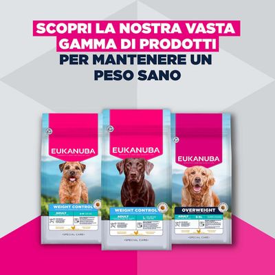 Eukanuba Special Care Overweight Adult