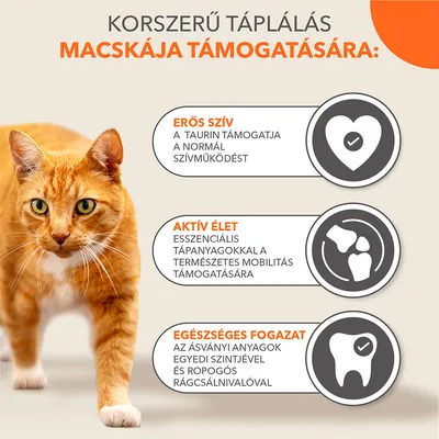 Korszerű táplálás macskája támogatására: erős szív, aktív élet, egészséges fogazat. Erős szív: a taurin támogatja a normál szívműködést. Aktív élet: esszenciális tápanyagokkal. Egészséges fogazat: ásványi anyagokkal.