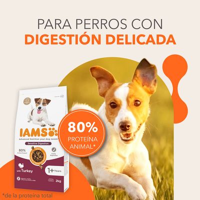 Comida para perros IAMS Sensitive Digestion, 80 % proteína animal, con pavo, para digestión delicada. Paquete de 2 kg, indicado para perros adultos a partir de 1 año.