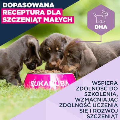 Eukanuba Premium Nutrition Puppy Small Breed, kurczak - 3 kg