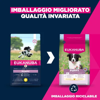 Eukanuba Premium Nutrition Puppy Medium Breed Pollo - 15 kg