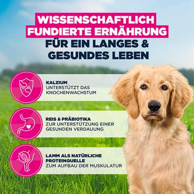 Eukanuba Premium Nutrition Puppy Large et Giant Breed agneau et riz - 12 kg