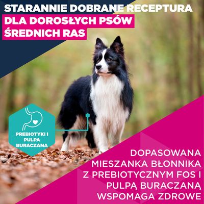 Gratis dla Ciebie! Eukanuba Premium Nutrition Adult Medium Breed, kurczak, 100 g