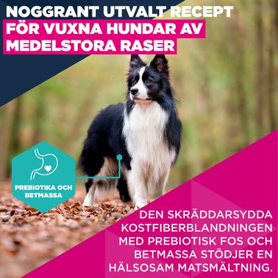 100 g Eukanuba Premium Nutrition Adult Medium Breed kyckling på köpet!