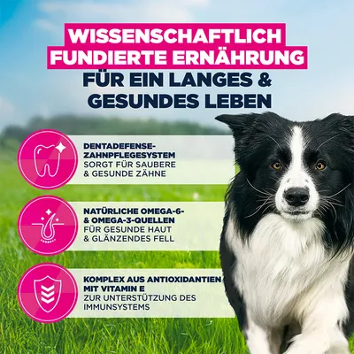 3 kg offerts ! Eukanuba Premium Nutrition 18 kg