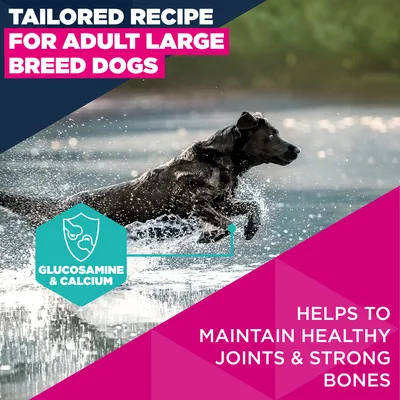 Eukanuba Premium Nutrition Adult Large & Giant Breed kana - säästöpakkaus: 2 x 15 kg