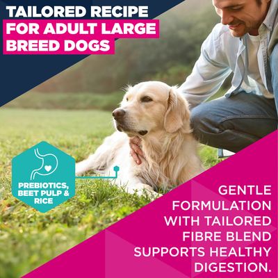 Eukanuba Premium Nutrition Adult Large & Giant Breed jahňacie a ryža - výhodné balenie: 2 × 12 kg