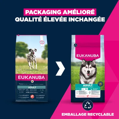 Eukanuba Premium Nutrition Adult Large et Giant Breed Saumon - 12 kg