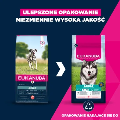 Eukanuba Premium Nutrition Adult Large & Giant Breed, łosoś - 12 kg