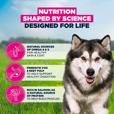 Eukanuba Premium Nutrition Adult Large & Giant Breed lohi - 12 kg