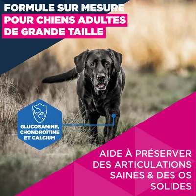 Eukanuba Premium Nutrition Mature Large et Giant Breed au poulet - lot % : 2 x 15 kg
