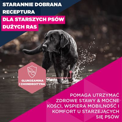 Eukanuba Premium Nutrition Senior Large & Giant Breed, kurczak - 15 kg