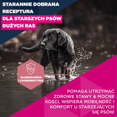 Eukanuba Premium Nutrition Senior Large & Giant Breed, kurczak - 2 x 3 kg