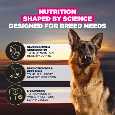 Eukanuba Adult Breed Care Specific German Shepherd