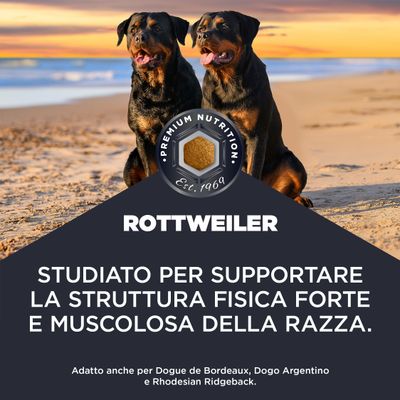 Rottweiler. Sviluppato per il sostegno di una struttura corporea forte e muscolosa. Adatto anche per Dogue de Bordeaux, Dogo Argentino e Rhodesian Ridgeback.