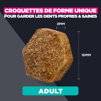 Croquette à la forme unique, dimensions : 8 mm x 16 mm. Pour des dents propres et saines. Convient aux adultes (adulte).