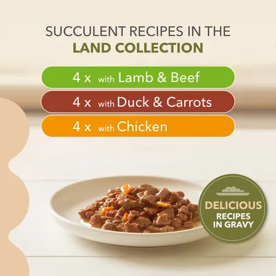 Succulent recipes in the Land Collection: 4 x with Lamb & Beef, 4 x with Duck & Carrots, 4 x with Chicken. Delicious recipes in gravy. Plate of pet food shown.