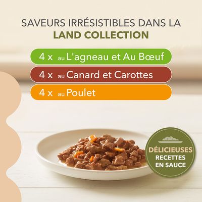 IAMS Advanced Nutrition Grain Free Land Collection en sauce – 12 x 85 g