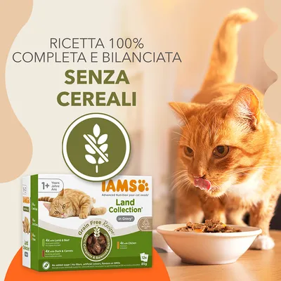 IAMS Advanced Nutrition Grain Free Land Collection in Salsa - Set %: 48 x 85 g