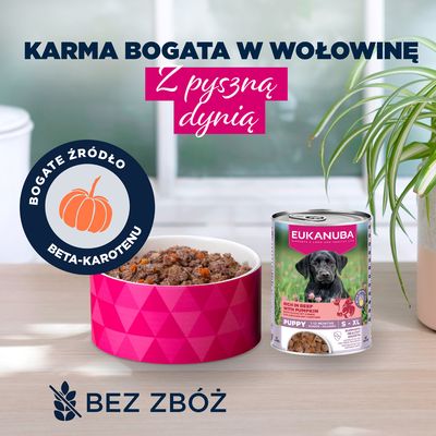 Eukanuba Puppy, wołowina z dynią