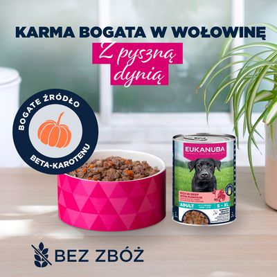 Eukanuba Adult, wołowina z dynią