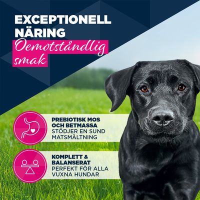 Eukanuba Adult Rich in öring med sötpotatis