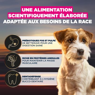 Aliment développé scientifiquement : prébiotiques pour une digestion saine, riche en protéines animales pour la masse musculaire, Dentadefense pour l’hygiène bucco-dentaire.