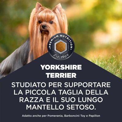 Yorkshire Terrier. Sviluppato per il sostegno della piccola taglia e del pelo lungo e setoso. Adatto anche per Pomeranian, Toy Poodle e Papillon.